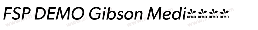 FSP DEMO Gibson Medi字体转换